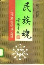 民族魂 -历代爱国诗词选析