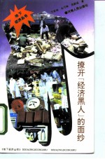 撩开经济黑人的面纱