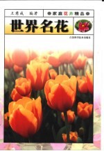 世界名花
