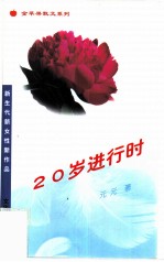 20岁进行时