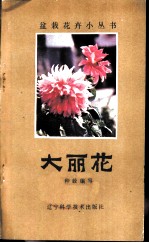 大丽花