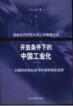开放条件下的中国工业化 大国的经验比较与中国的现实选择