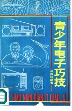青少年电子巧技
