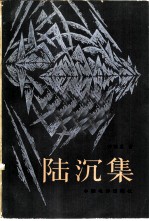 陆沉集