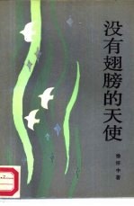 没有翅膀的天使