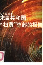 来自共和国“扫黄”总部的报告