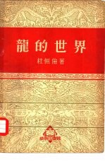 龙的世界