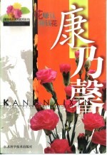 康乃馨