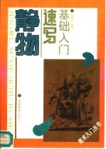 静物速写基础入门