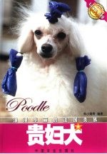 贵妇犬 浪漫华丽的法国贵族