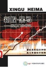 新股·黑马 股票量价特征