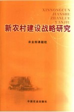 新农村建设战略研究