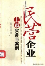 民营企业上市实务与案例