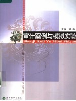 审计案例与模拟实验