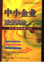 中小企业融资实战 理念·流程·规则·案例