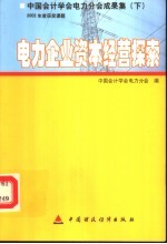 中国会计学会电力分会成果集 2002年度获奖课题电力企业资本经营探索 下