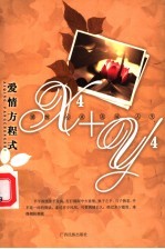爱情·心灵·友谊·人生 爱情方程式x4+y4
