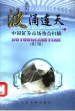 波涌连天 中国证券市场热点扫描 修订版