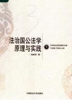 法治国公法学原理与实践 下