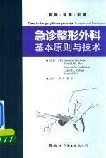 急诊整形外科 基本原则与技术