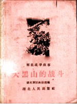 大黑山的战斗 解放战争故事