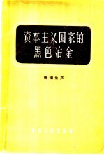 资本主义国家的黑色冶金 第3册 炼钢生产