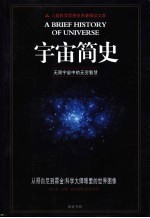 宇宙简史 无限宇宙中的无穷智慧 从哥白尼到霍金:科学大师眼里的世界图像