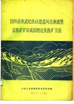 国外前寒武纪铁硅建造风化淋滤型富铁矿矿床成因理论及找矿方法