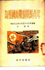 为祖国而战的朝鲜青年