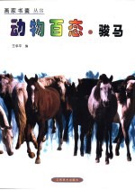 动物百态 骏马