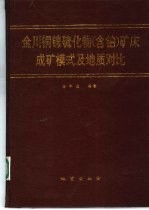 金川铜镍硫化物 含铂 矿床成矿模式及地质对比