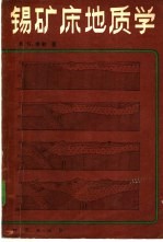 锡矿床地质学