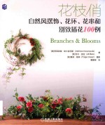 花枝俏 自然风摆饰 花环 花串和别致插花100例