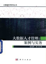 大数据科学研究丛书 大数据人才管理 案例与实务