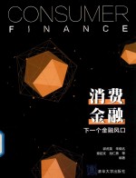 消费金融 下一个金融风口