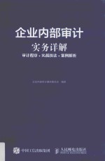 企业内部审计实务详解 审计程序 实战技法 案例解析
