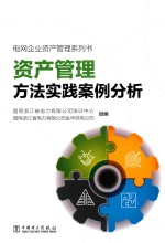 电网企业资产管理系列书 资产管理方法实践案例分析