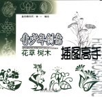 青少年创意插图高手·花草 树木