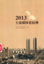 主流媒体看宿州 2013