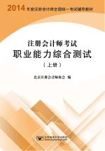 注册会计师考试职业能力综合测试 上