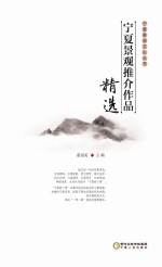 宁夏景观推介作品精选
