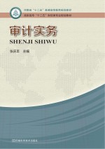 河南省“十二五”普通高等教育规划教材 审计实务
