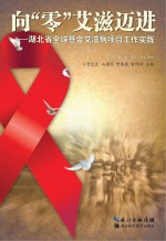 向“零”艾滋迈进 湖北省全球基金艾滋病项目工作实践
