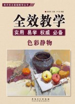 美术技法基础教学丛书 全效教学 色彩静物