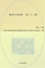 陕西文史资料 第33辑