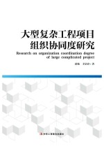大型复杂工程项目组织协同度研究