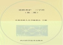 道桥养护 三字经 第2辑