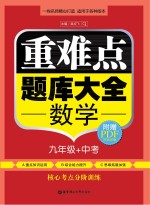 重难点题库大全 数学九年级+中考