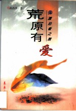 漂泊者之旅荒原有爱