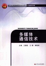 多媒体通信技术
